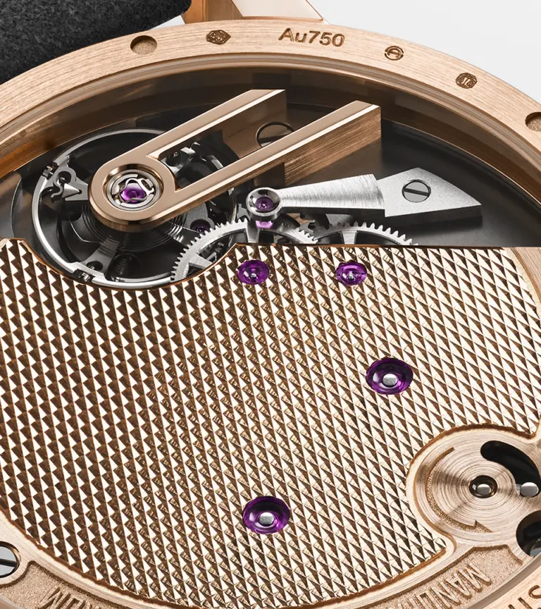 Armin Strom-Tribute2-au750-shop4